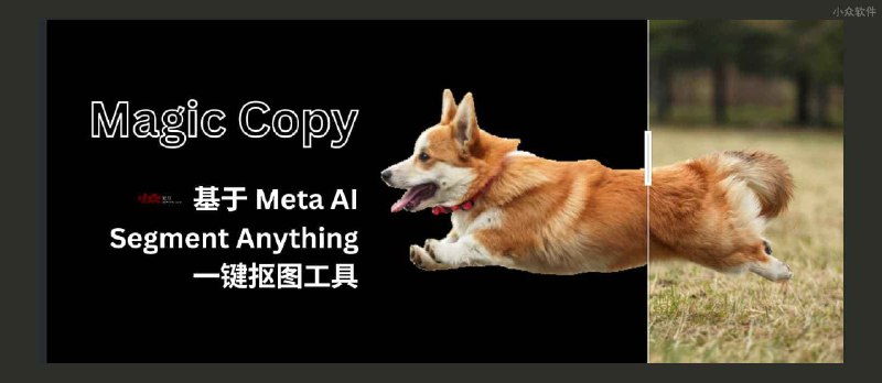 Magic Copy - 在 Chrome/Firefox 中一键抠图，基于 Meta AI 的 Segment Anything 模型 - 小众软件