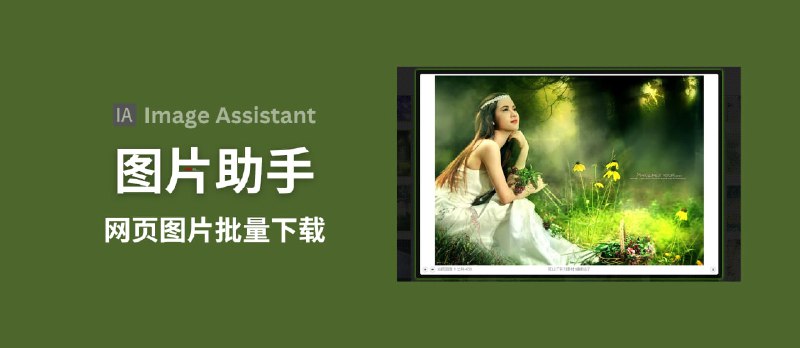 图片助手 ImageAssistant - 批量看图/下图工具：这样看小姐姐图片，太方便了吧 - 小众软件