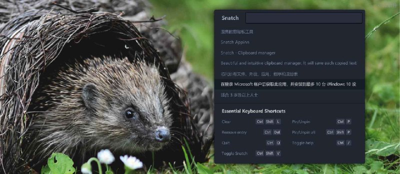Snatch - 漂亮、干净的剪贴板工具，终于有 Windows 剪贴板工具把漂亮当作特性了 - 小众软件