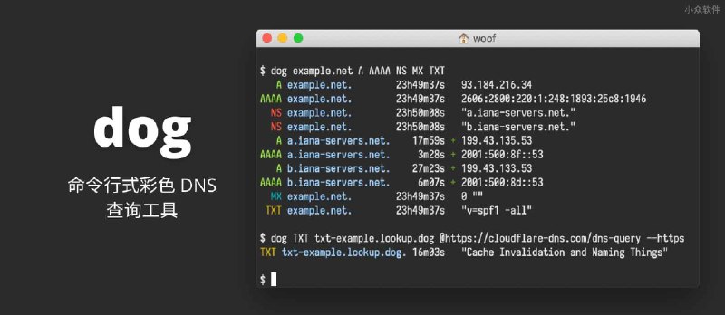dog - 一个简单的彩色命令行 DNS 查询工具[Win/macOS/Linux] - 小众软件