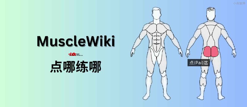 MuscleWiki - 点哪练哪，免费视频健身指南 - 小众软件