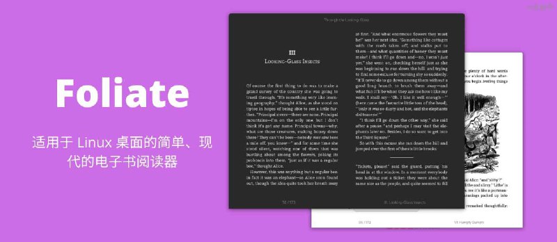 Foliate - 适用于 Linux 桌面的简单、现代的电子书阅读器 - 小众软件