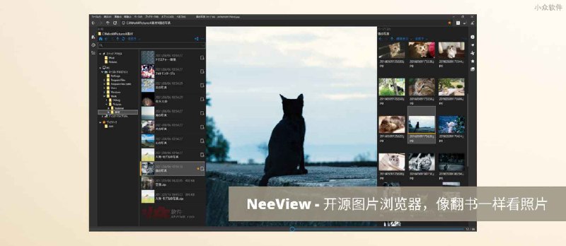 NeeView - 开源图片浏览器，像翻书一样看照片[Windows] - 小众软件