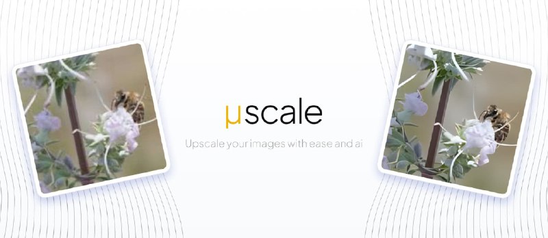 μScale - 利用 AI 算法，将图像放大 4 倍，免费、在线 - 小众软件