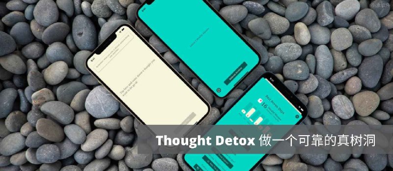 Thought Detox - 释放 负面情绪，写后即焚，真树洞[iPhone] - 小众软件