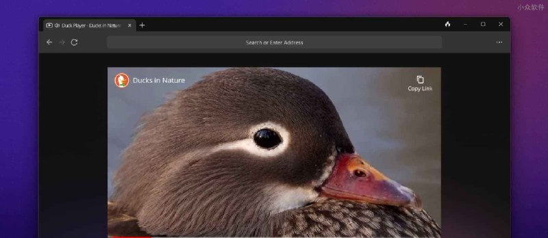 DuckDuckGo 桌面浏览器 Windows 测试版发布，隐私保护优先 - 小众软件