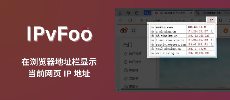 IPvFoo - 在浏览器地址栏显示当前网页 IP 地址[Chrome/Firefox] - 小众软件