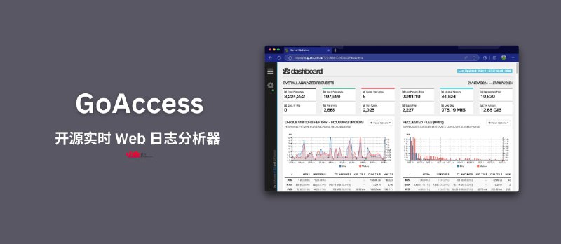 GoAccess - 开源实时 Web 日志分析器  - 小众软件