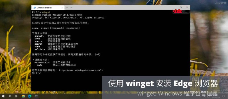 Windows 程序包管理器：使用 winget 安装 Edge 浏览器[视频] - 小众软件