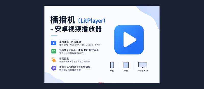 播播机（LitPlayer） – 安卓视频播放器，支持TV端  - 小众软件