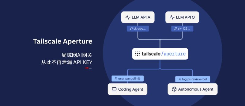 Aperture - Tailscale 本地 AI 中央网关，从此不再泄漏 API KEY - 小众软件