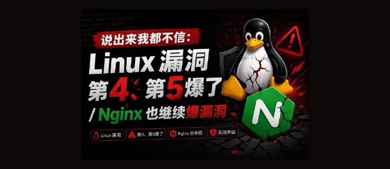 说出来我都不信：Linux 漏洞第4、第5爆了 / Nginx 也继续爆漏洞 - 小众软件