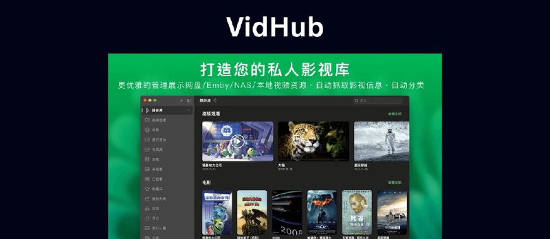 VidHub：一个播放器，打通你所有的网盘、NAS 和本地视频 - 小众软件