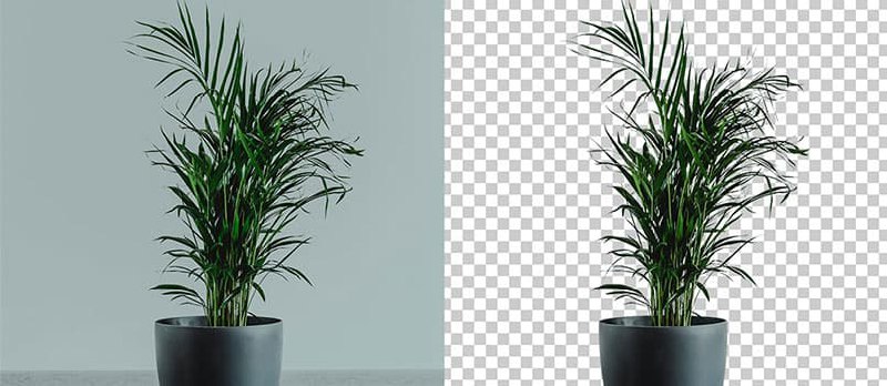 抠图不求人！Aiarty Image Matting 黑五特惠，为效率工作者打造的精准抠图方案 - 小众软件