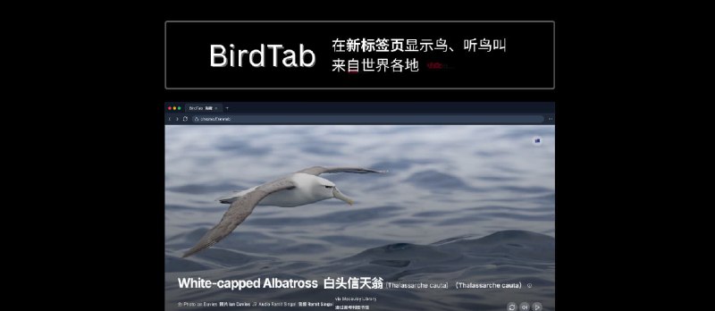 BirdTab - 鸟类爱好者狂喜：在浏览器新标签页显示鸟、听鸟叫，来自世界各地的鸟 - 小众软件