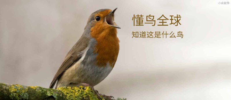 懂鸟全球 - 智能识别 10928 种鸟类名称[微信小程序/Web] - 小众软件