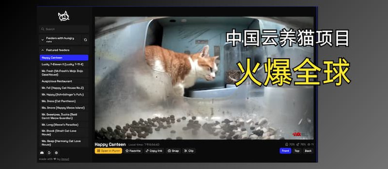 街猫火到国外啦！国外网友为中国云养猫创建猫咪档案、投票、记录…直播 - 小众软件