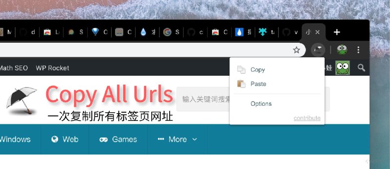 Copy All URL - 一键复制所有标签页网址[Chrome/Firefox] - 小众软件