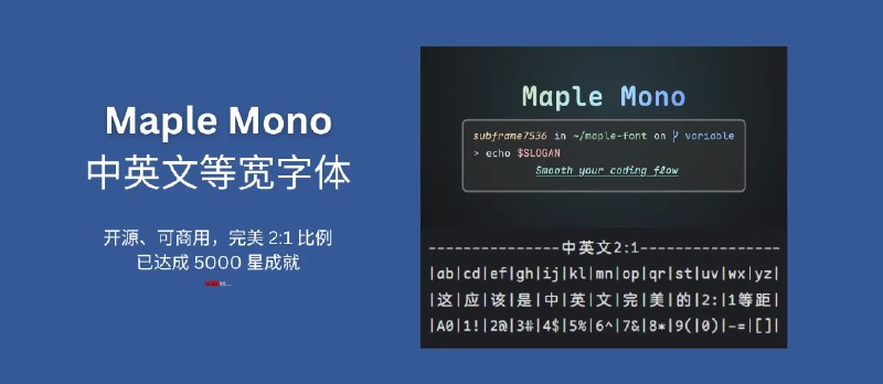 Maple Mono 开源、可商用的中英文等宽字体，圆角设计风格，完美 2:1 比例，已达成 5000 星成就 - 小众软件