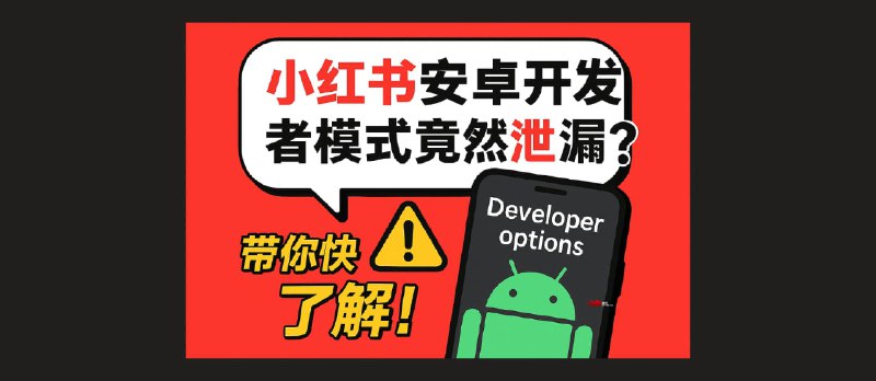 安卓小红书开发者模式意外泄漏 - 小众软件