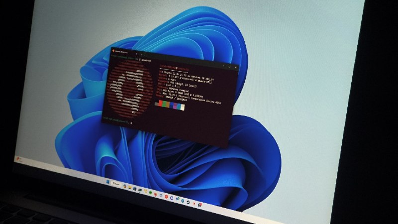 Ubuntu is growing faster on Windows 11 than on native Linux PCs, says Canonical