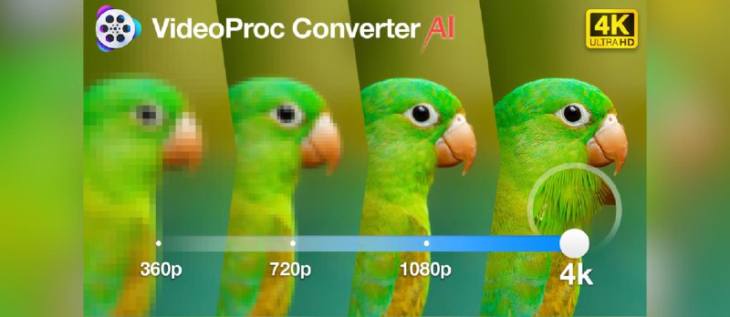 复活节限免,三重豪礼来袭:离线 AI 视频图像处理软件,还能买一送三,错过等一年! - 小众软件