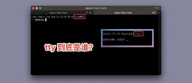 终端(Terminal)、TTY 和 Shell,还有 SSH,一次搞懂,它们到底是什么? - 小众软件