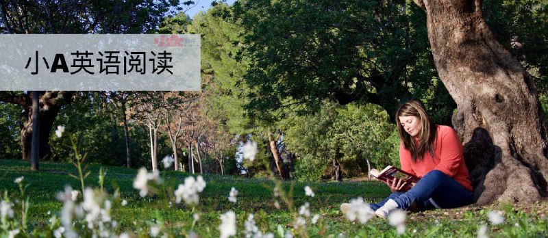 小A英语阅读 - 即点即译，多功能智能英语阅读应用[iPad/iPhone] - 小众软件