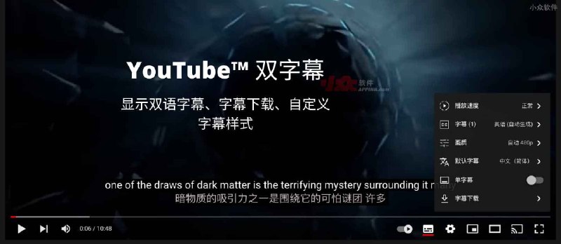 YouTube™ 双字幕&nbsp;- 显示双语字幕（包括自动翻译）、字幕下载，以及自定义字幕样式[Chrome/Edge] - 小众软件