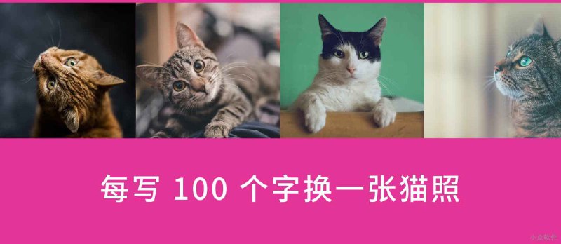 Written Kitten - 每输入100字，展示一张可爱的猫咪图片 - 小众软件