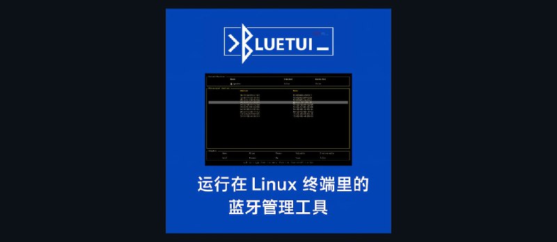 bluetui - 运行在 Linux 终端里，带图形界面的蓝牙管理工具 - 小众软件