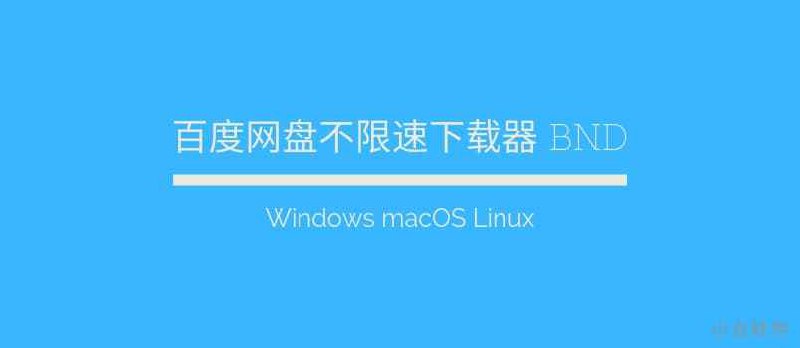 BND 1&2 - 百度网盘不限速下载工具[Win/macOS/Linux] - 小众软件