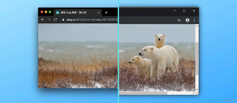 终于找到一款 Windows 下为截图边缘添加阴影工具了：ShareX - 小众软件