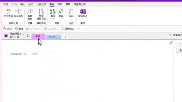 原来 Onenote 是可以为单个页面或者 page 加密的