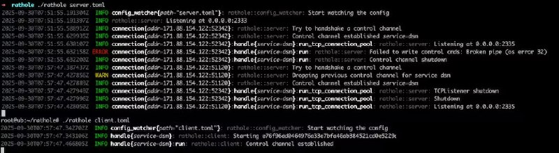 rathole – 一个轻量级开源内网穿透工具，高吞吐、低占用，类 frp 工具rathole 是一款开源的轻量级内网穿透工具，基准测试显示延迟与 frp 相近，在高并发情况下表现更好，能提供更大的带宽，内存占用更少