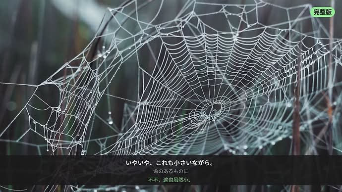 📣 #发现频道