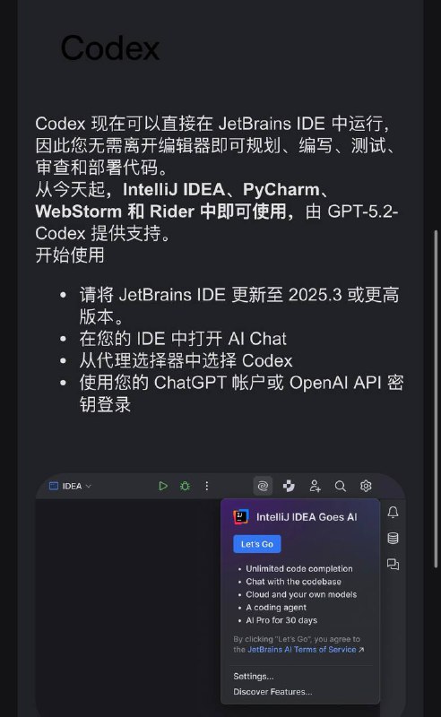Codex 现在可以直接在 JetBrains IDE 中运行，因此您无需离开编辑器即可规划、编写、测试、审查和部署代码