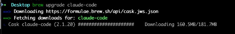 不是，现在 Claude-code 已经 181MB 了吗